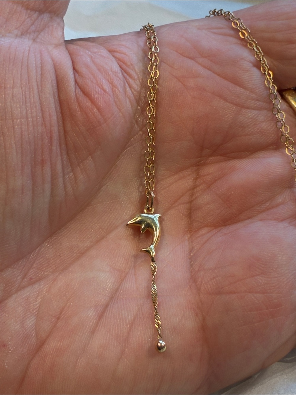 10K Gold Dolphin Pendant Necklace with Complimentary Chain (Not 10K)